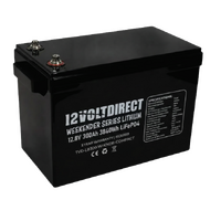 12 Volt Direct 300AH Weekender Series Lithium LiFePo4  Battery